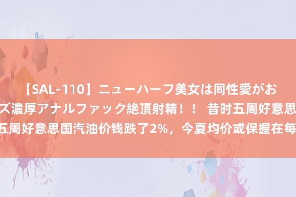 【SAL-110】ニューハーフ美女は同性愛がお好き♪ ニューハーフレズ濃厚アナルファック絶頂射精！！ 昔时五周好意思国汽油价钱跌了2%，今夏均价或保握在每加仑3好意思元