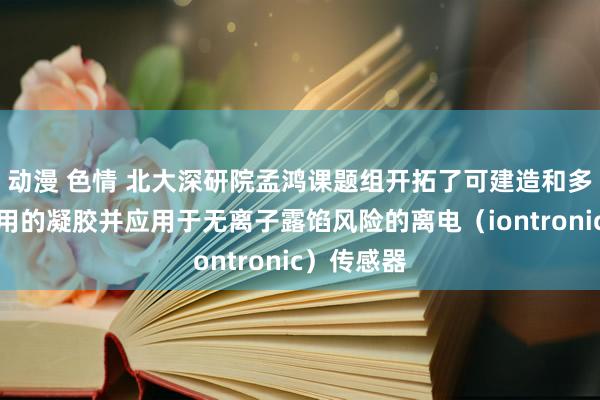 动漫 色情 北大深研院孟鸿课题组开拓了可建造和多种环境适用的凝胶并应用于无离子露馅风险的离电（iontronic）传感器