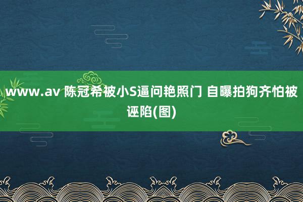 www.av 陈冠希被小S逼问艳照门 自曝拍狗齐怕被诬陷(图)